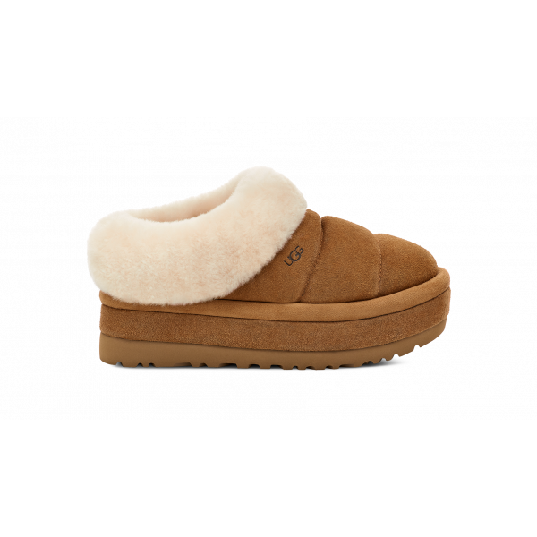 Tazzlita Slipper