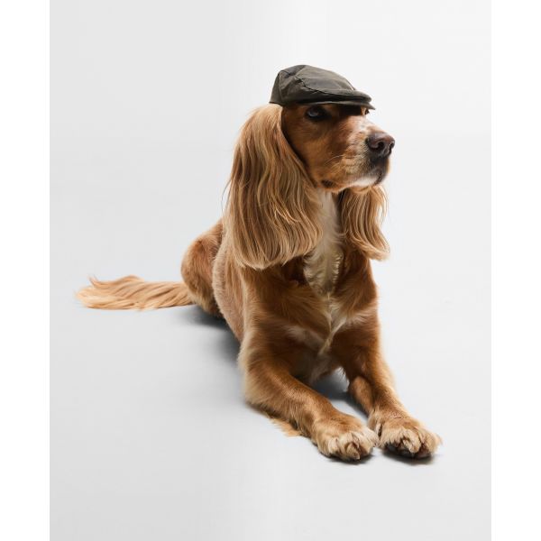 Dog Wax Flat Cap