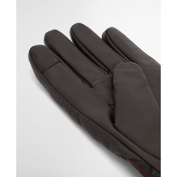 Darwen Gloves
