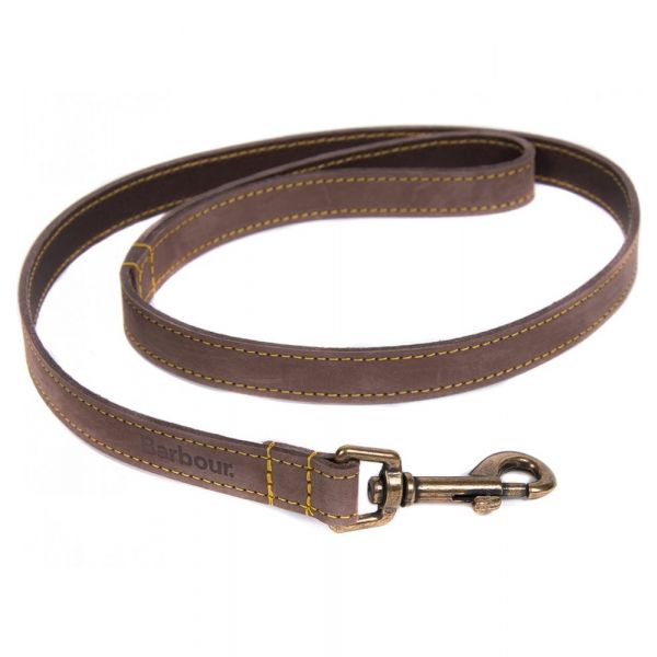 Leather Dog Lead