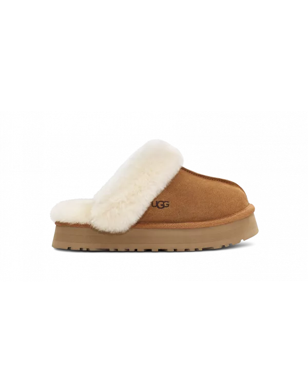 Disquette Slipper