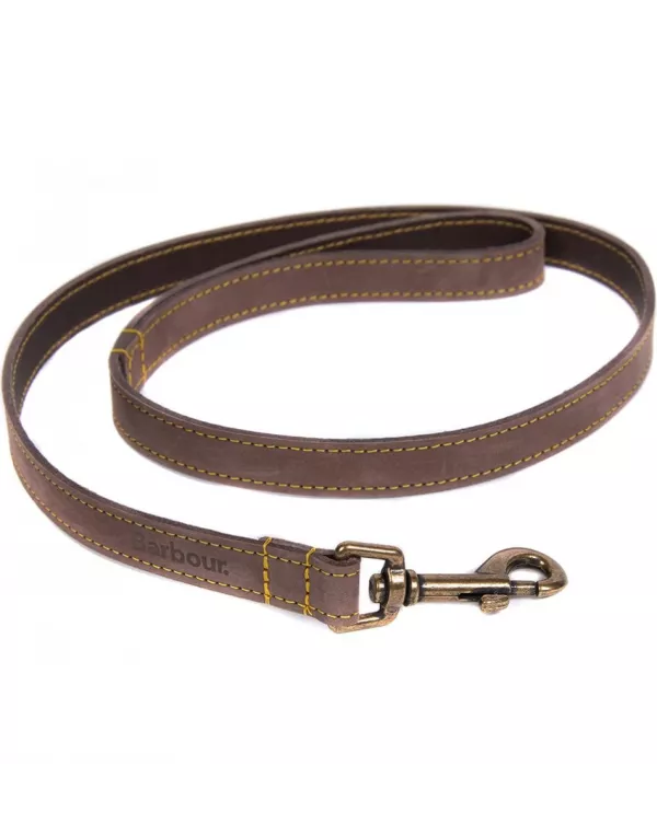 Leather Dog Lead