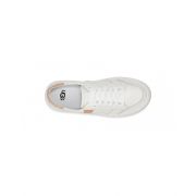 Alameda Trainer
