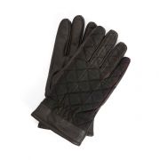 Darwen Gloves