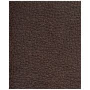 Laire Leather Purse