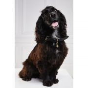 HC Classic Dog Collar - Black & Leopard Pony