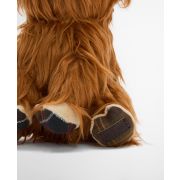Highland Cow