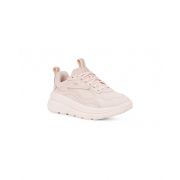 CA1 Trainer