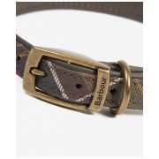 Tartan Dog Collar
