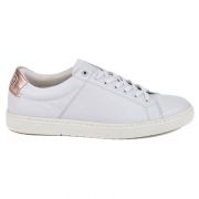 Herrera Trainers