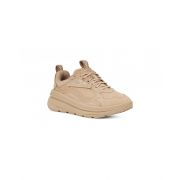 CA1 Trainer