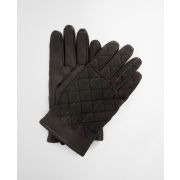 Darwen Gloves
