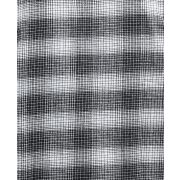 Ashby Ombre Shirt