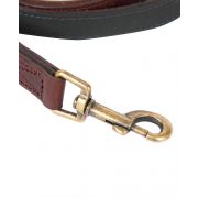 Wax / Leather Dog Lead