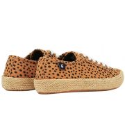 Coast Summer Pump Canvas Trainer With Jute Detailing