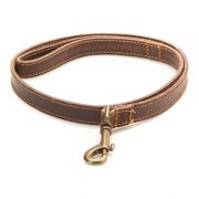Leather Dog Lead