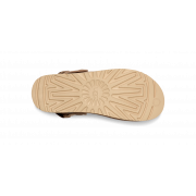 Goldenstar Clog