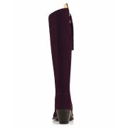 Women's Regina Heeled Suede Boot
