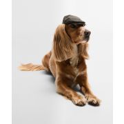 Dog Wax Flat Cap