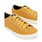 Organic Coast Pump Trainers