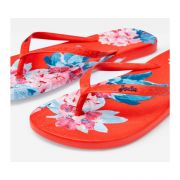 Flip Flops Womens