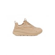 CA1 Trainer