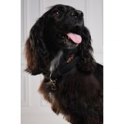 HC Classic Dog Collar - Black & Leopard Pony