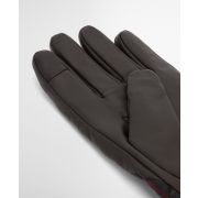 Darwen Gloves