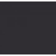 Capstan Moccasin Boat Shoe