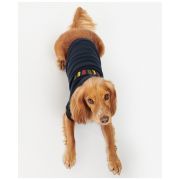 Logo Dog Hoody