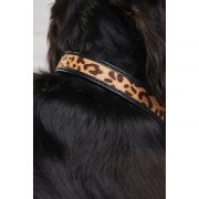 HC Classic Dog Collar - Black & Leopard Pony