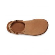 Goldenstar Clog