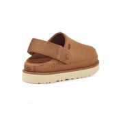 Goldenstar Clog