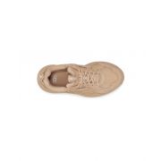 CA1 Trainer