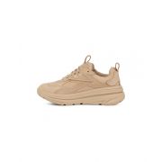 CA1 Trainer