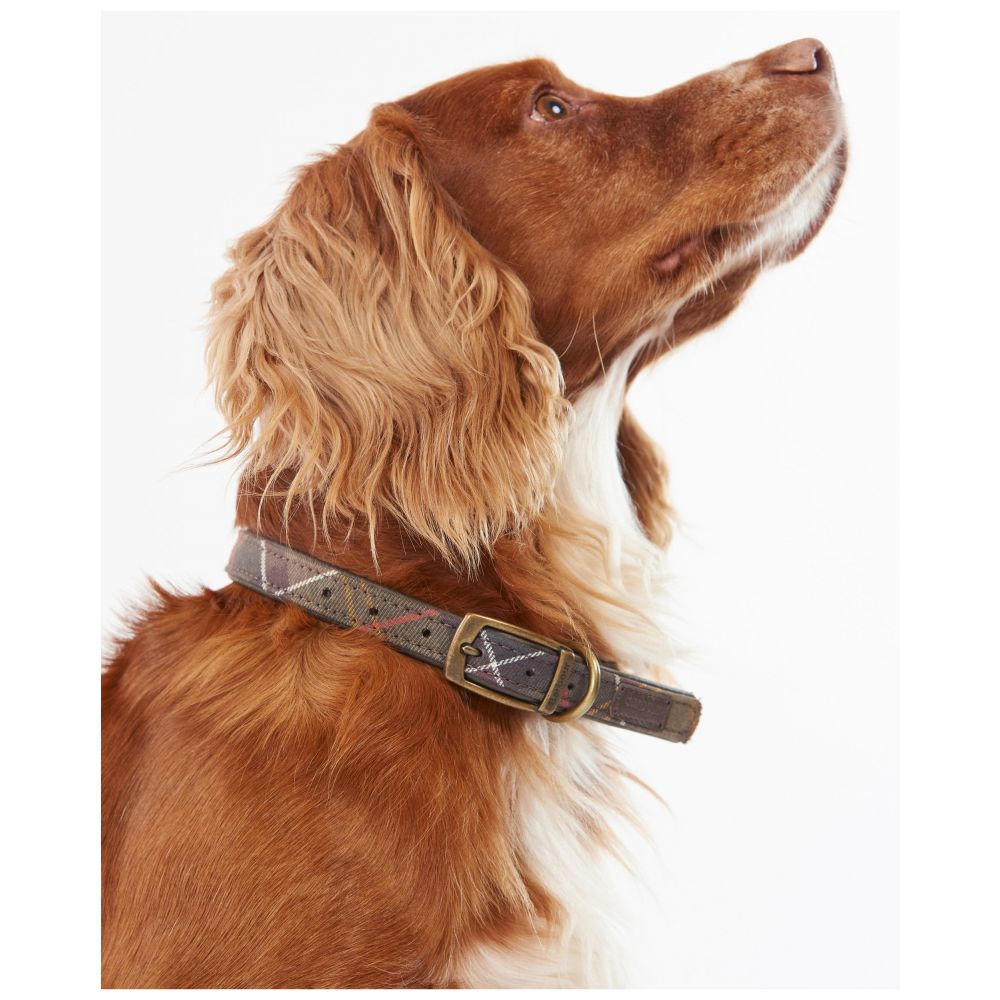 Tartan Dog Collar